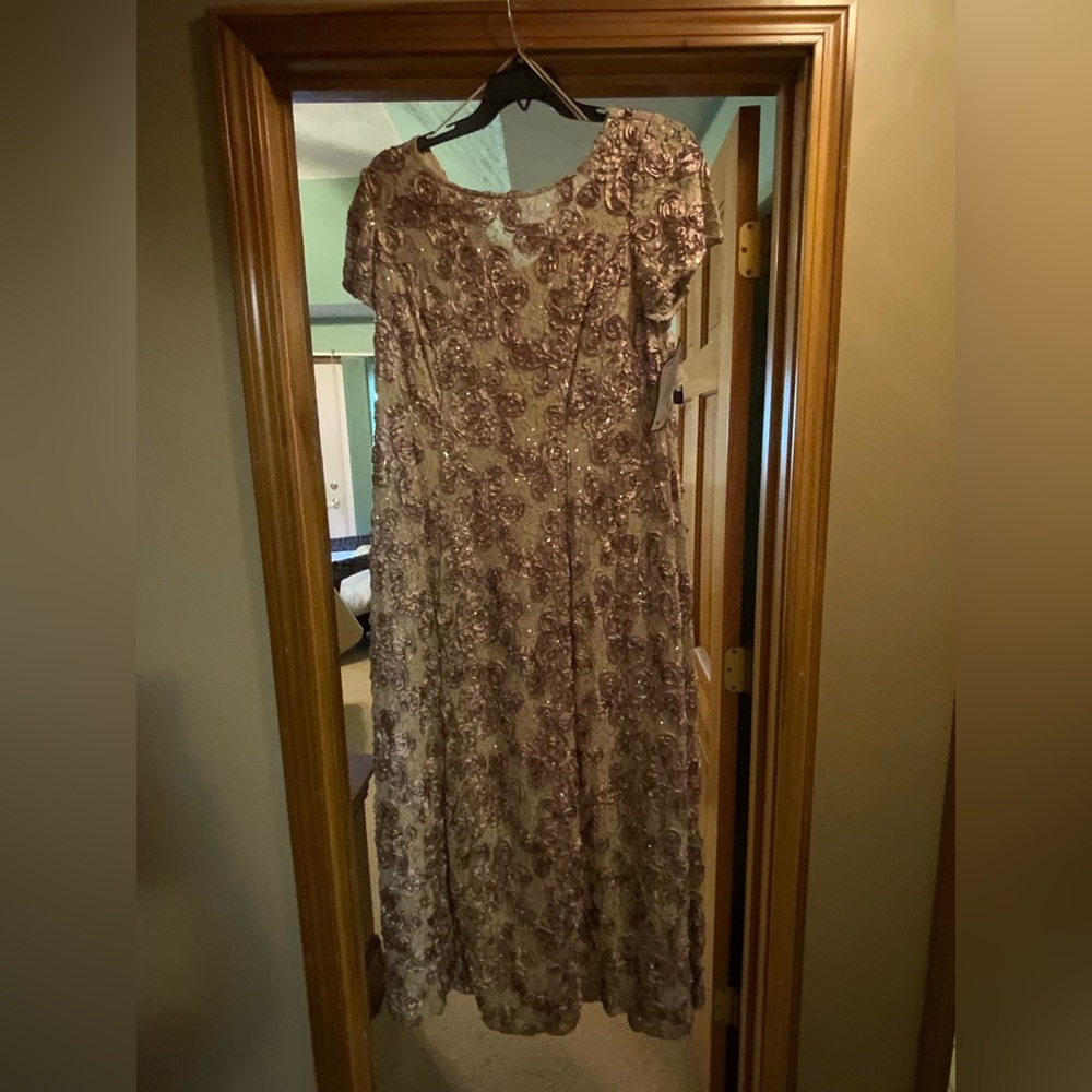 Alex Evenings Champagne Short Sleeve Long Dress 16W
